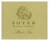 Soter 'Mineral Springs' Pinot Noir 2009