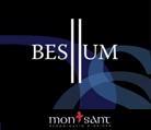 Celler Besllum Besllum 2008