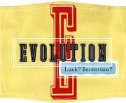 Sokol Blosser 'Evolution' No. 9 White Blend